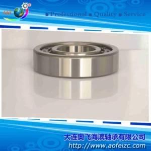 Cylindrical Roller Bearing (NJ360M) Roller Bearings