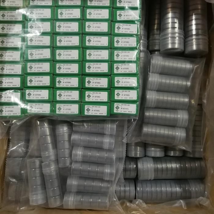 Original Germany Bearing Roller Bearing Needle Bearing Cylindrical Bearingf-67081 F67081