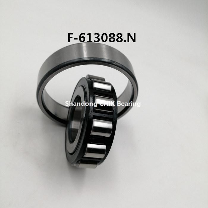 F-613088. N Auto Bearing Car Bearing Cylindrical Roller Bearing F613088N