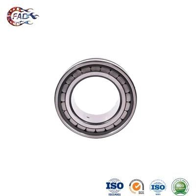 Xinhuo Bearing China Auto Bearing Factory Bearing 6206 RS Double Row Cylindrical Roller Bearing