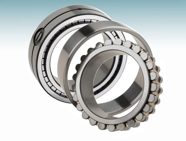 100mm High Precision Large Slewing Bearing Cylindrical Rollers