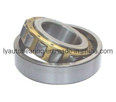Cylindrical Roller Bearing (42140/NJ1040)