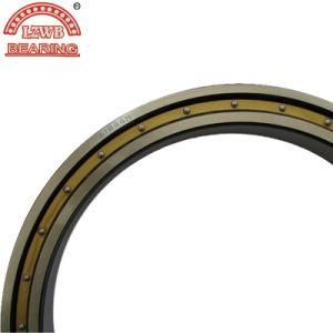 Bronze Cage Bearing Steel Ball Bearing (6060m-6072m)