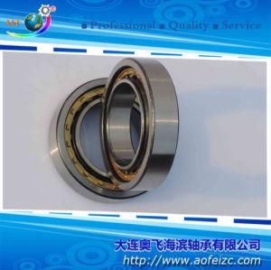 NU1017M/32117H Cylindrical Roller Bearings 85*130*22 mm