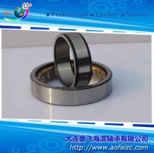 NU1018M Cylindrical Roller Bearings with Brass Cage/Steel Cage