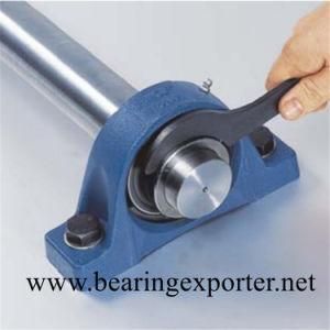 Pillow Block Bearing Unit Sbpft204 with Pressed Steel Housing Pft204