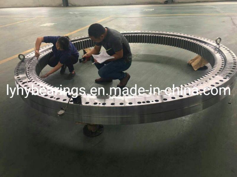 Torriani Gianni (TG) Crossed Roller Slewing Ring Bearing Internal Gear Turntable Bearing (I. 1165.25.12. D. 3-RV)