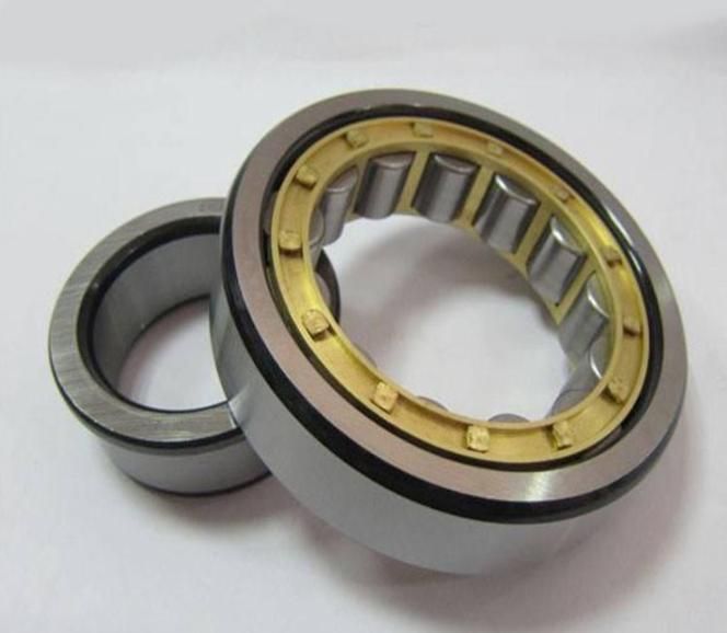 Cylindrical Roller Bearing Nup307 Cement Mixer PMP9y