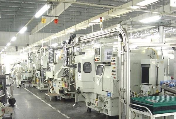 Roller Ball Bearing