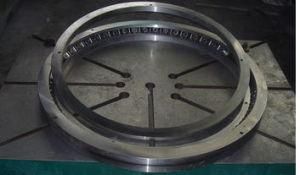 161.16.0560.89121.1503 High Temperature Water Resistance Slewing Turntable Gear Bearing