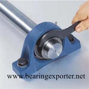 Pillow Block Bearing Unit SBPP207 Housing Bearing for Power-Station Equipment