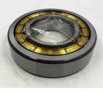 Nj210-E-Tvp2 Cylindrical Roller Bearing for Oil Industry Steel Industry (NJ210)