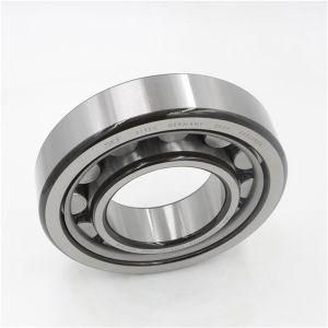 Cylindrical Roller Bearings Nj18/800ecma Nu18/800ecma Nu10/800ecma/Hb1 Nu20/800ecma 315800 316200 Nu20/850ecma 319161 Nu18/900ecma N28/900MB