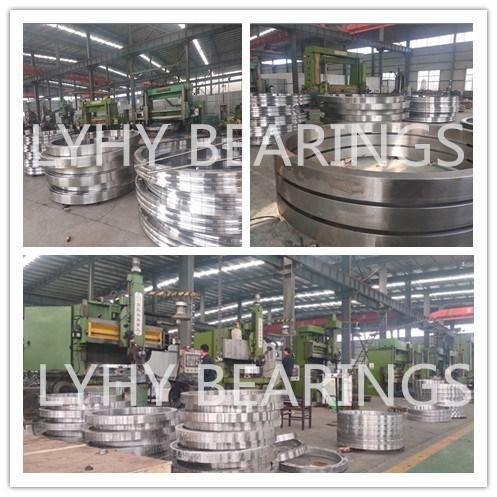 Internal Gear Slewing Ring Bearing for Canning and Bottling Machines