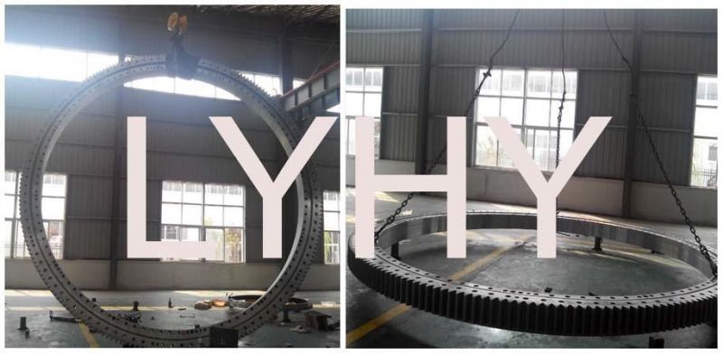 Marine Cranes Swing Bearing Slewing Ring Bearing Gear Bearing 192.25.2800.990.41.1502