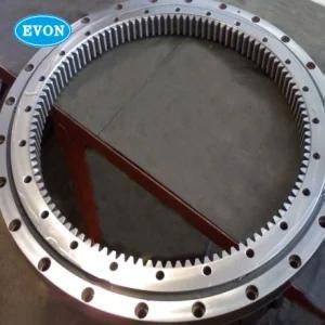 VSI200544 Slewing Ring Bearing