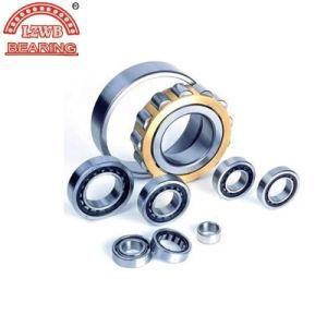 ISO Certificated of Cylinderical Roller Bearing (NJ 2205 E)