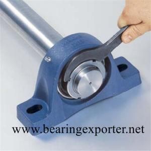 Pillow Block Bearing Unit Sbpft203 Housing Bearing