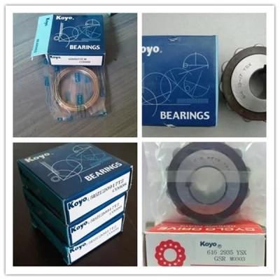 Chik SKF NTN Koyo Machine Parts of Deep Groove Ball Bearing (6318 ZZ)