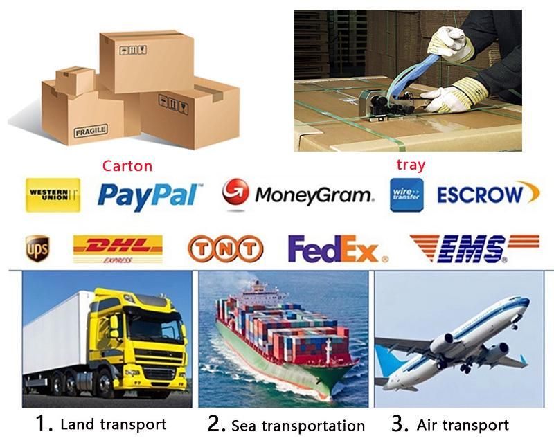 Auto Bearing,Wheel Bearing,Cylindrical Roller Bearing,N244,2244,Nu244,32244,Nj244,42244,NF244,12244,Ncl244,102244,Nup244,192244,Rn244,502244,Rnu244,292244,