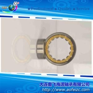 Bearings Cylindrical Roller Bearing NU226M (32226H)