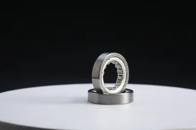 Zys Rolling Bearing Double Row Cylindrical Roller Bearings Nn Type Nn3016