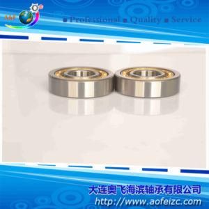 NU320M Cylindrical Roller Bearing with High Speed Bearings