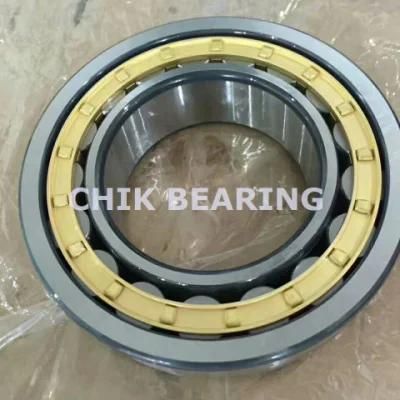 Double Row Cylindrical Roller Bearings for Oil Pump Nnf5020