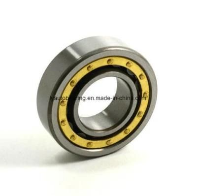 Cylindrical Roller Bearing Nn3019