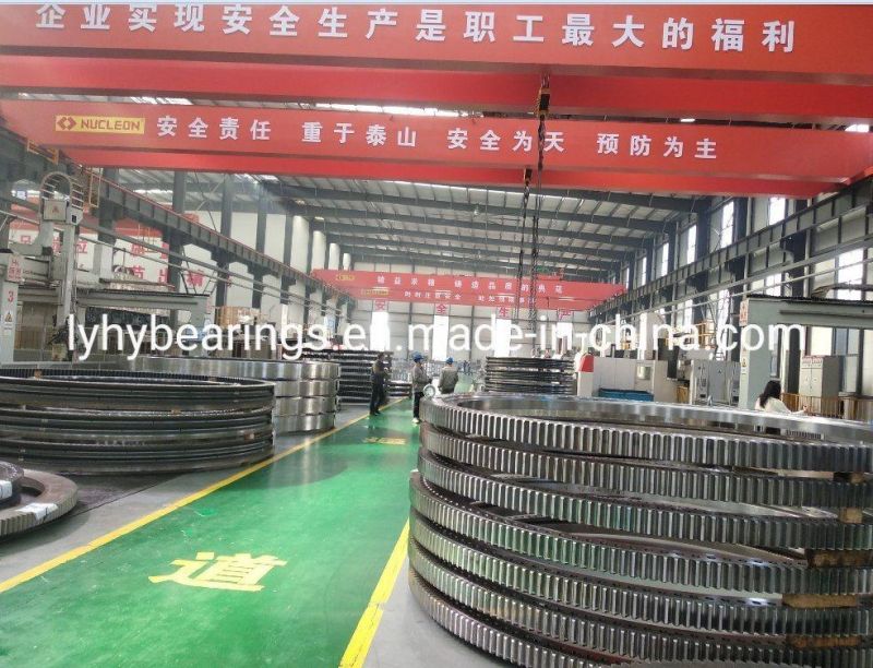 Non-Standard Type Slewing Ring Bearings Internal Gear Bearing Roller Bearing (2787/1105)