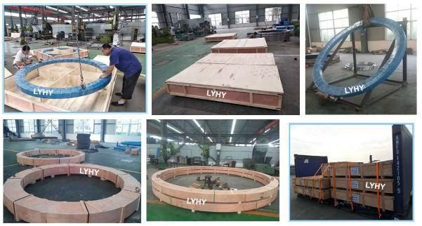 Four Point Contact Ball Slewing Bearing with External Gear 12-20 0741/1-02243