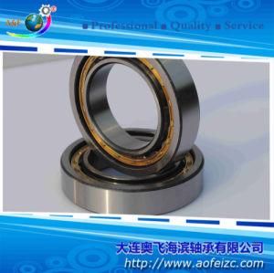 Cylindrical Roller Bearing NU1012M Roller Bearings (32112H)