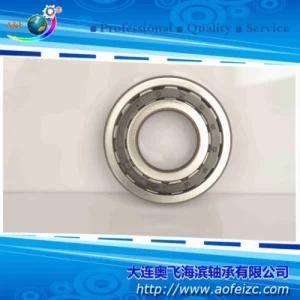 Auto Parts Cylindrical Roller Bearings NJ321E Roller Bearings 42321E