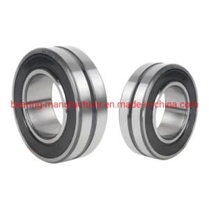 BS2-2211-2RS/Vt143, BS2-2211-2rsk/Vt143 Radial Spherical Roller Bearing Manufacturer