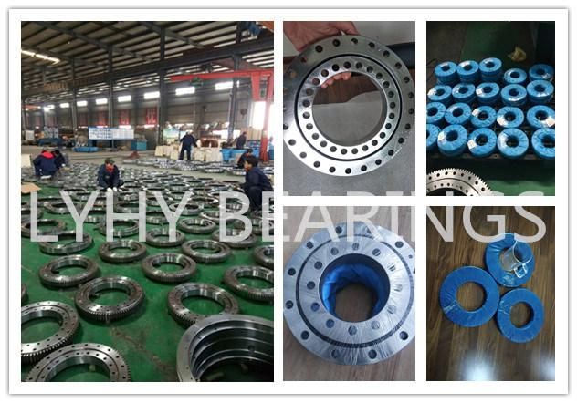 Internal Gear Slewing Ring Bearing for Canning and Bottling Machines