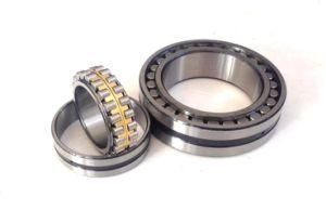 Double Row Cylindrical Roller Bearings Bc2-8015/Hb1 Nnu41/710m/W33 314420 Bc2b326379/Ha4 Bc2-8022/Ha1 Bc2b326372/Ha1