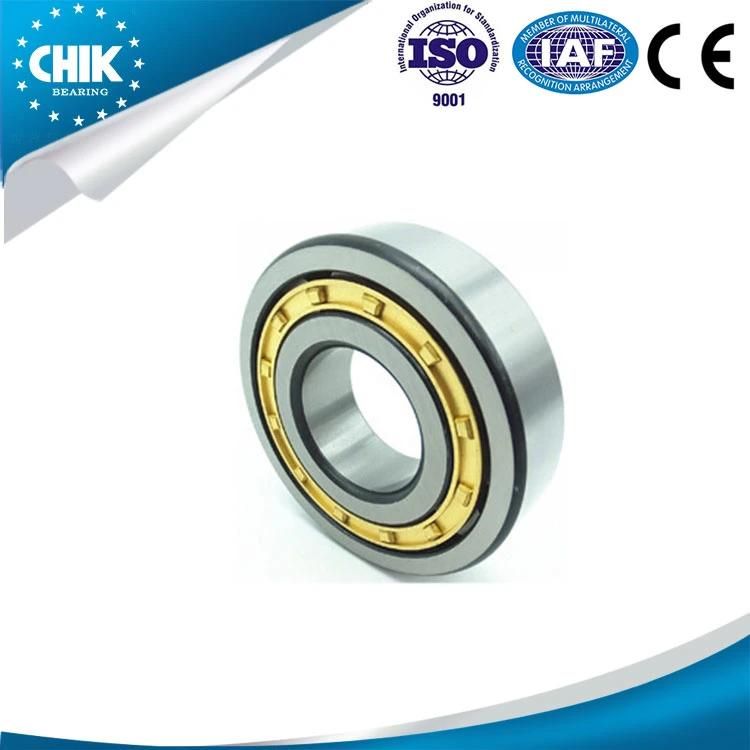 Cylindrical Roller Bearing N209ecp N219ecp N308ecp N315ecp N320ecp N211ecp N220ecp N309ecp N316ecm N321ecp Roller Bearing