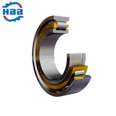 120mm N424 2424 Single Row Cylindrical Roller Bearing Manufacturer