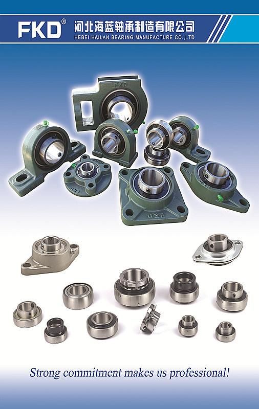 Heavy Duty Pillow Block Bearing Mounted Unit Bearing (UCFL201 UCFL202 UCFL203 UCFL204 UCFL205 UCFL206) /Pillow Block Bearings