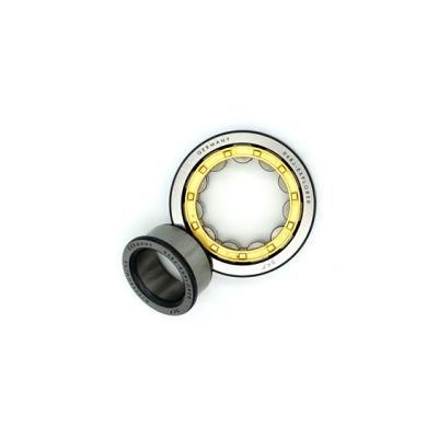 Brass Cage Cylindrical Roller Bearing NSK Nu230e Nu230m