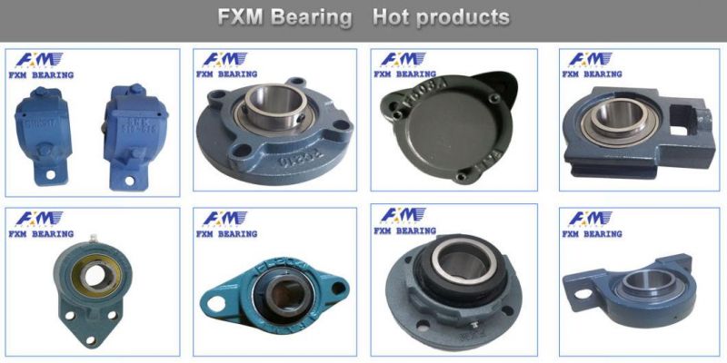 UCFL310/UCFL310-30/UCFL310-31/ UC/UCP/Ucf//Ucpa/Naflu Agriculture Pillow Block Bearing Insert Bearings