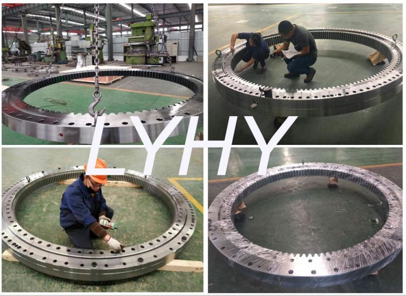 Marine Cranes Swing Bearing Slewing Ring Bearing Gear Bearing 192.25.2800.990.41.1502