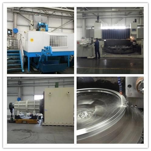 Zys Yrt Series Turntable Bearing Slewing Bearing Rotary Bearing Yrt460 for Combined Load
