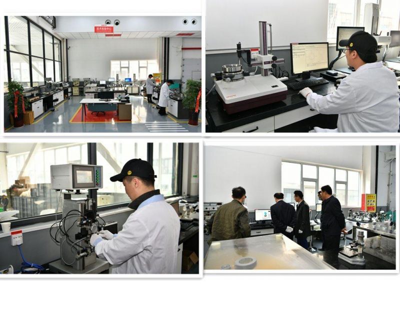 Y-Bearing Plummer Housed Units Insert Bearing Pillow Block Housing Roller Bearing Ball Bearing Mounted Bearings China Manufacturer
