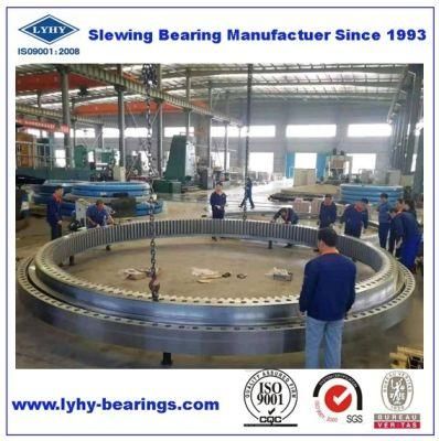 Slewing Bearing 191.25.1800.990 Slewing Ring Bearing for Portal Crane (191.20.2000.990)