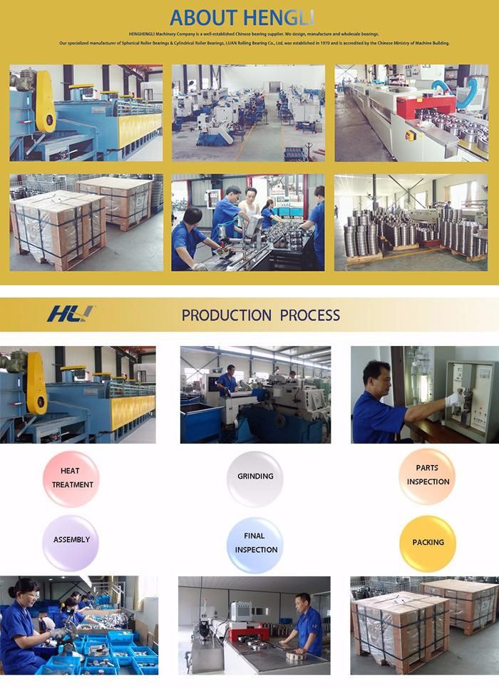 Inch Size Spherical Plain Bearing for Auto Parts/Automotive Parts GEZ 63 FO with OEM Service