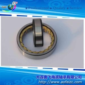 Cylindrical Roller Bearing NU1011M Roller Bearings 32111H