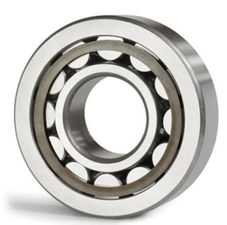 Cylindrical Roller Bearing Nup307 Cement Mixer PMP9y