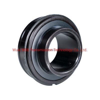Pillow Block Insert Spherical Ball Bearing/Mounted Bearing Na205