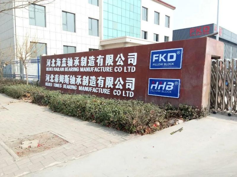 Bearing Units, Fkd Housings, Ball Bearings, Spherical Rollerbearing, All Kinds of Pillow Block Bearings (UCP UCT UCF 32321 32309)